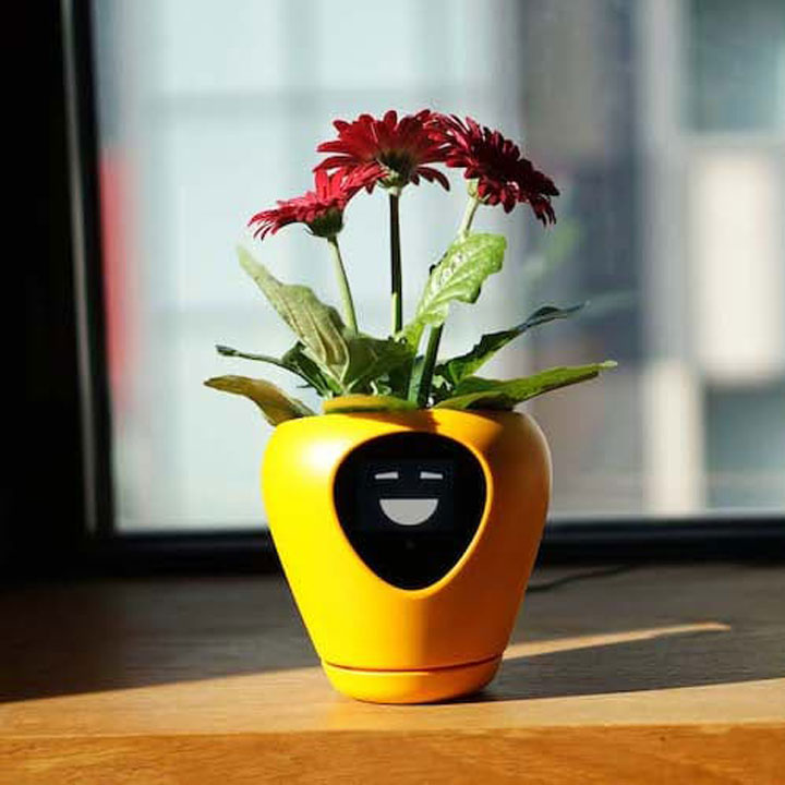 Lua smart planter wedding gift ideas trends 2019 plant mom ideas